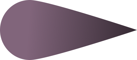 304